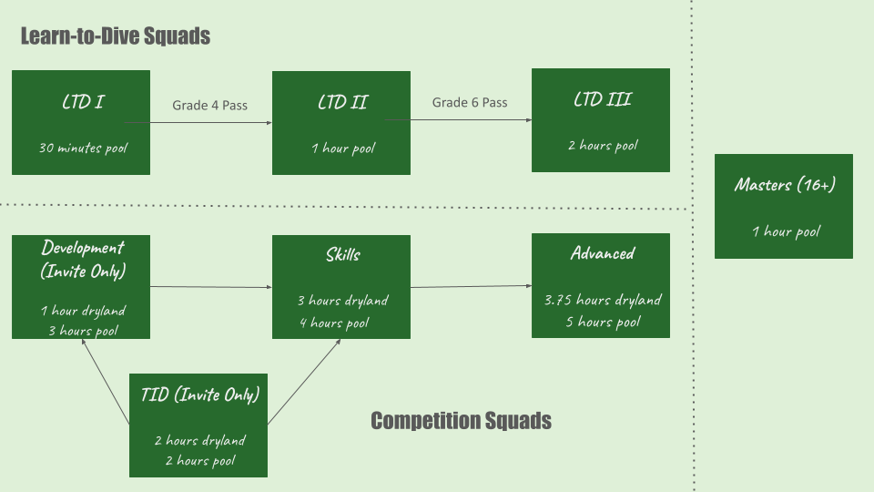 A flowchart showing squads and progression at Albatross Diving Club. Learn-to-Dive divers move from LTD I (30 minutes pool) to LTD II (1 hour pool) after passing Grade 4 to LTD III (2 hours pool) after passing Grade 6. Competition Squads start with TID (2 hours dryland, 2 hours pool) or Development (1 hour dryland, 2 hours pool), which are both invite only. TID can move to Development or Skills and Development can move to Skills (3 hours dryland, 4 hours pool). Skills can move to Advanced (3.75 hours dryland, 5 hours pool).